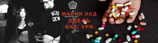 мяу мяу мука Арсеньев