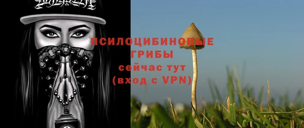 мяу мяу мука Арсеньев
