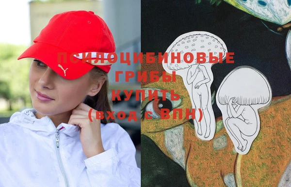 мяу мяу мука Арсеньев