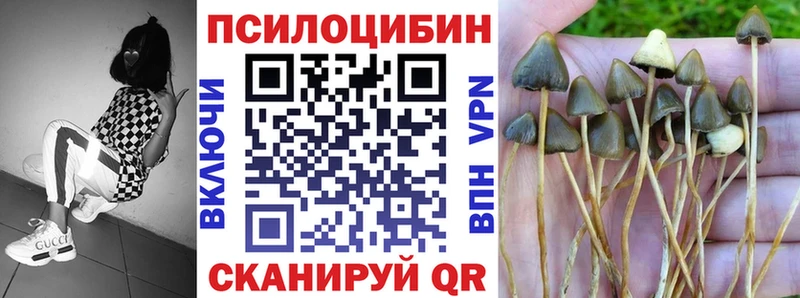 Галлюциногенные грибы прущие грибы  купить   Новопавловск 