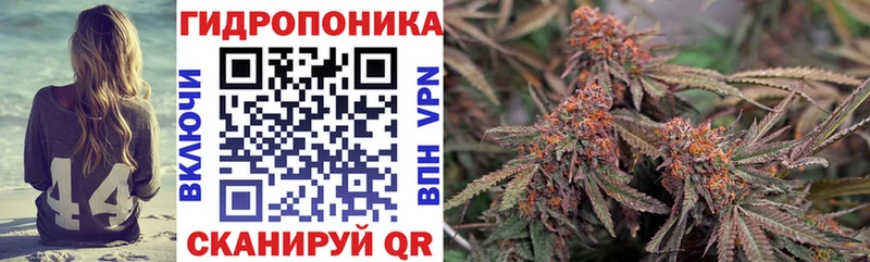 магазин  наркотиков  Новопавловск  KRAKEN сайт  Каннабис Bruce Banner 